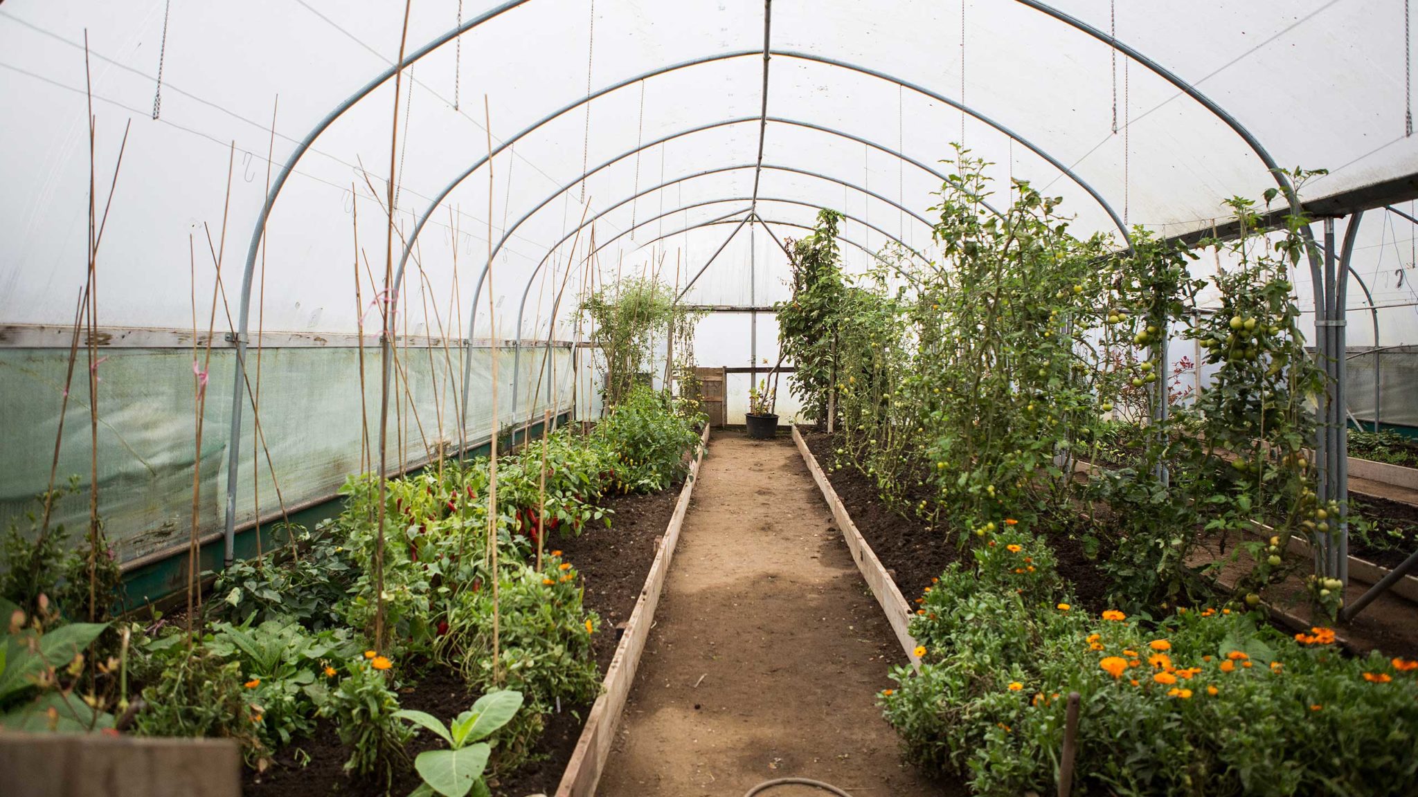 Community Therapy at High Mead Farm