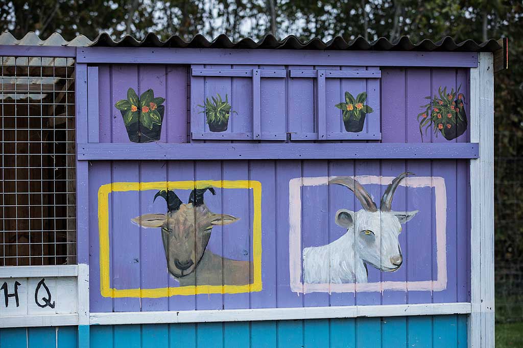 Open Day High Mead Farm